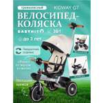 Трехколесный велосипед Babyhit 11 дюймов
