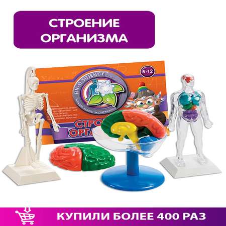Наглядное пособие Профессор Эйн