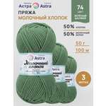 Пряжа для вязания Astra Premium Молочный хлопок 50 г 100 м 3 шт