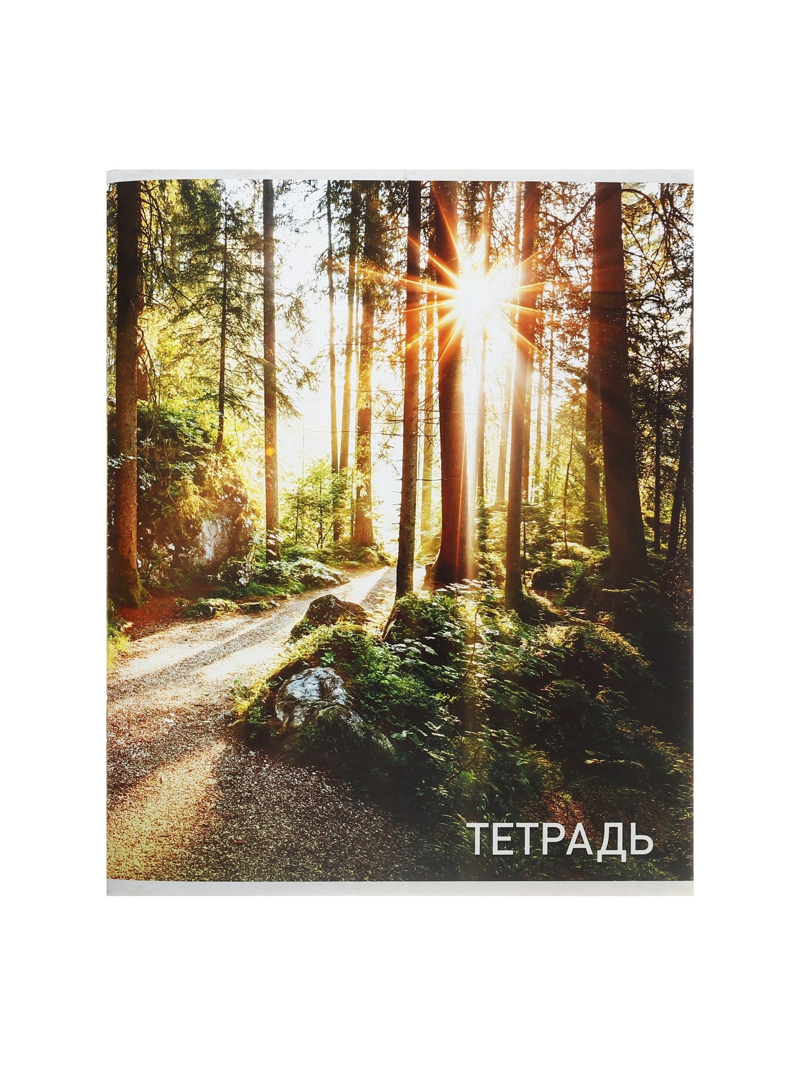 Тетрадь Calligrata клетка - фото 8