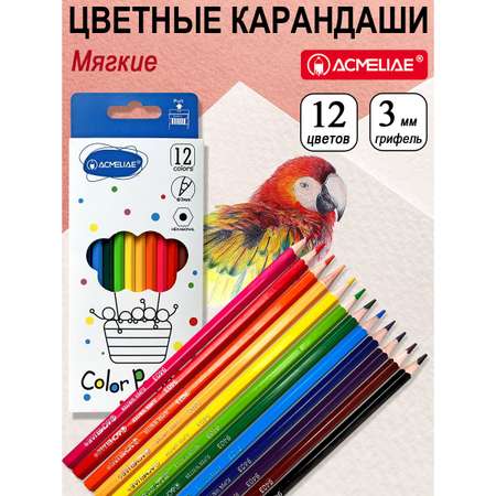 Карандаши цветные ACMELIAE 12 шт.