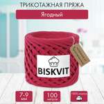 Трикотажная пряжа BISKVIT Ягодный