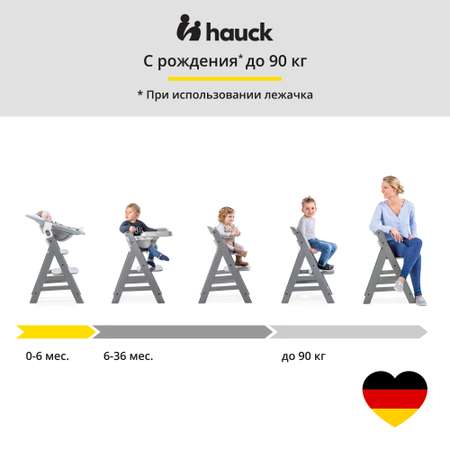 Стульчик для кормления Hauck Alpha трансформер