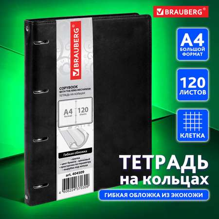 Тетрадь со сменным блоком Brauberg клетка 120 лист.