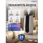 Увлажнитель воздуха ENDEVER Oasis-250