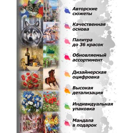 Картина по номерам Белоснежка Галоп