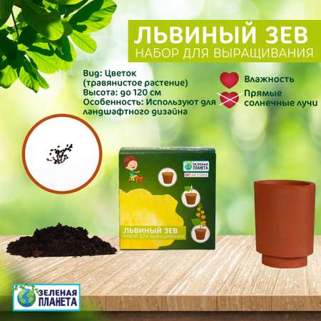 Набор для выращивания ЗЕЛЕНАЯ ПЛАНЕТА