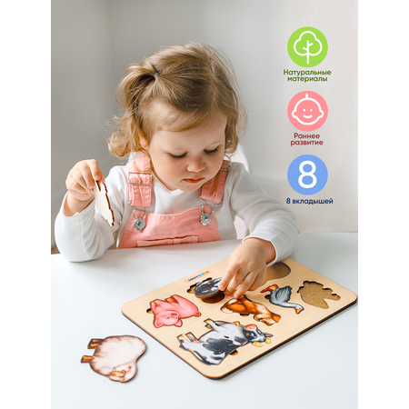 Настольная игра Raduga Kids