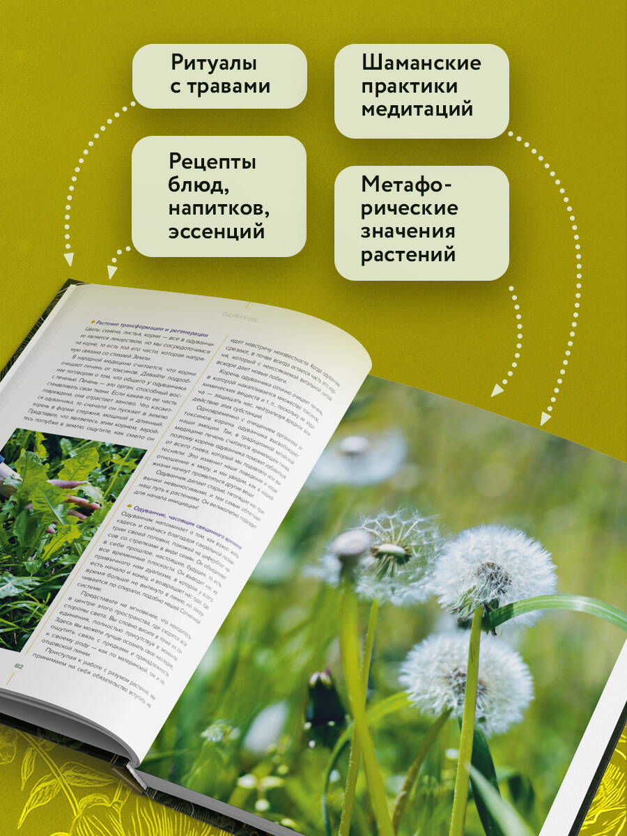 Книга Эксмо Шаманское травничество. Сила растений. Рецепты наших предков - фото 2