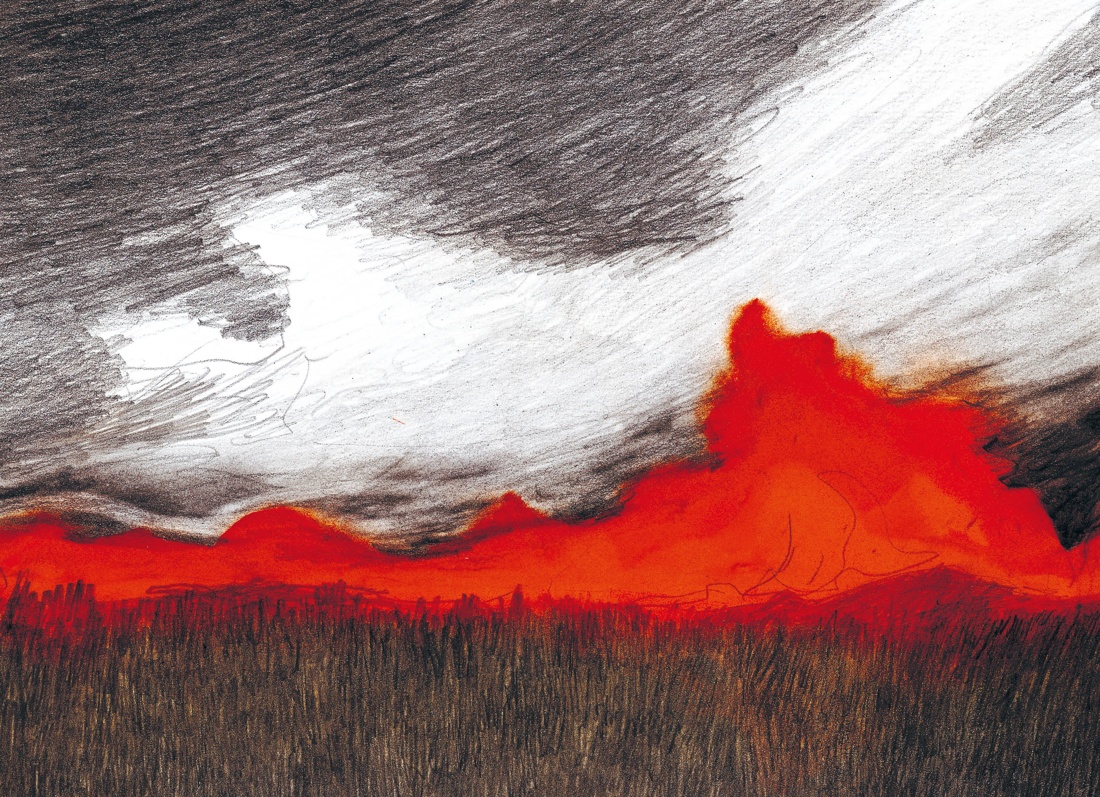 Книга Махаон Ванини - королева львов. Комплект из 4-х книг - фото 16