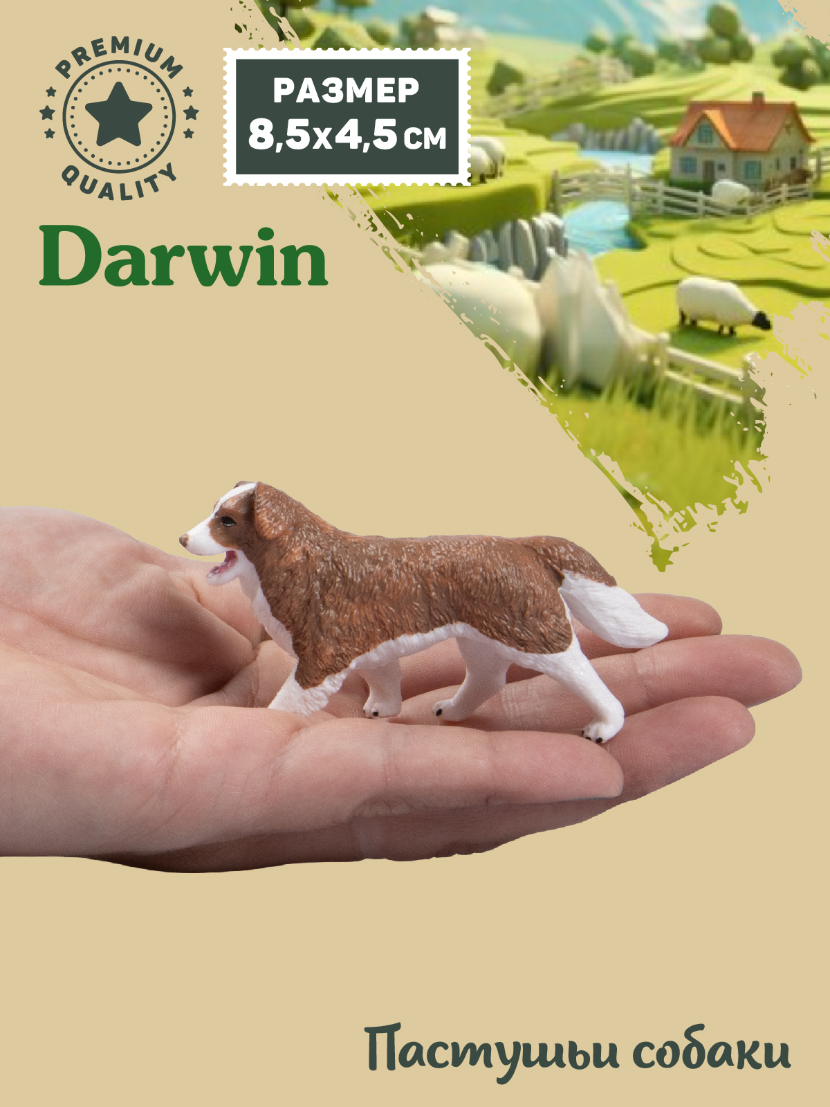 Фигурка DARWIN Собака Бордер-колли - фото 2