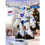 Робот РУ AUTODRIVE Стёпа