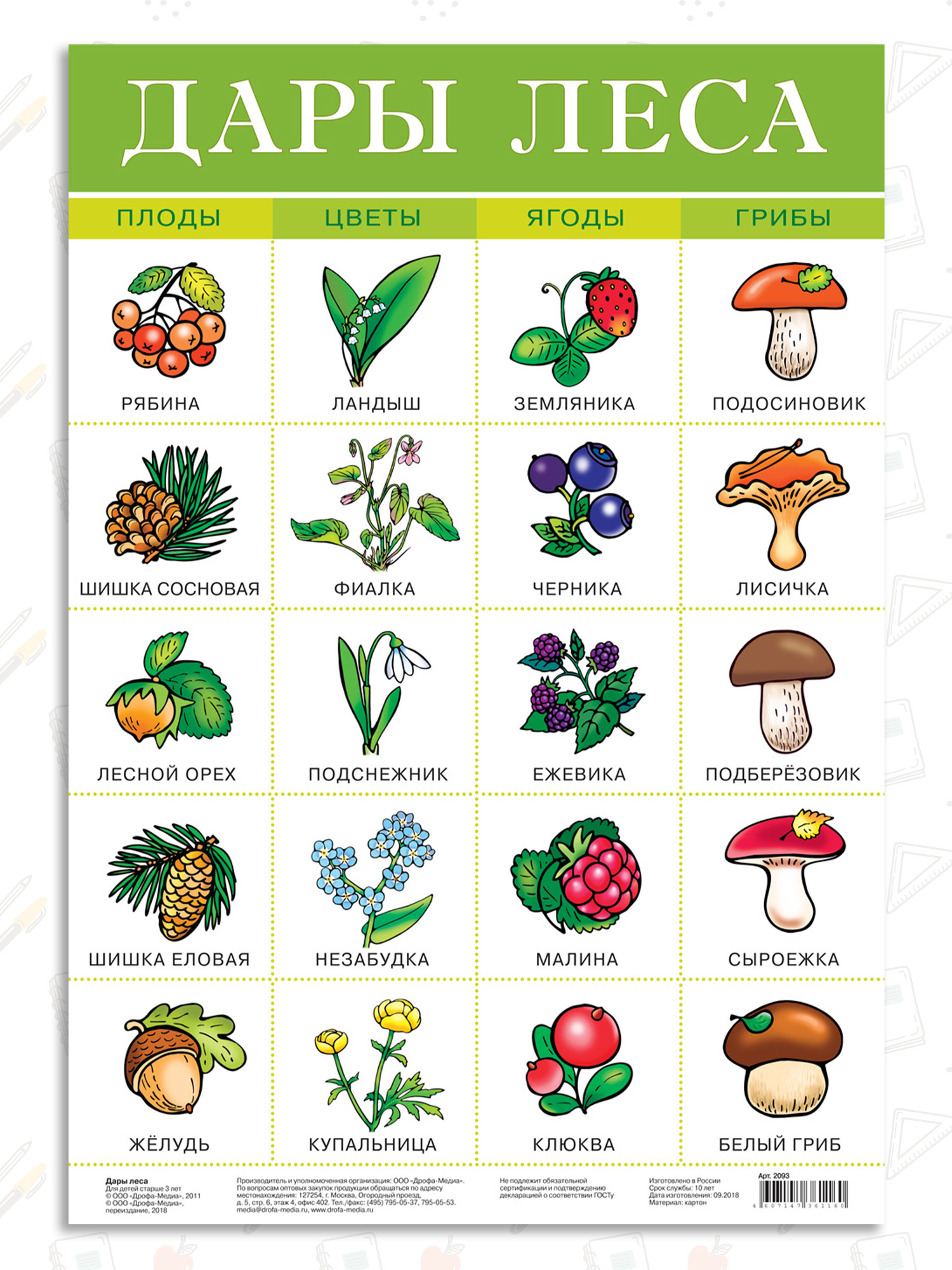 Набор обучающих плакатов Дрофа-Медиа Возраст 4-5 лет 10 видов 3961 - фото 8