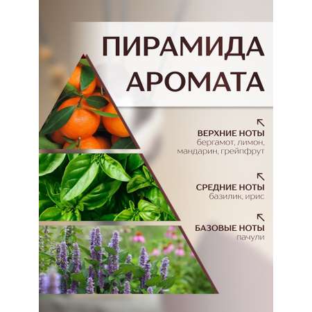 Диффузор с сухоцветами в Премиум тубусе Accents Lime, Mandarin & Basil