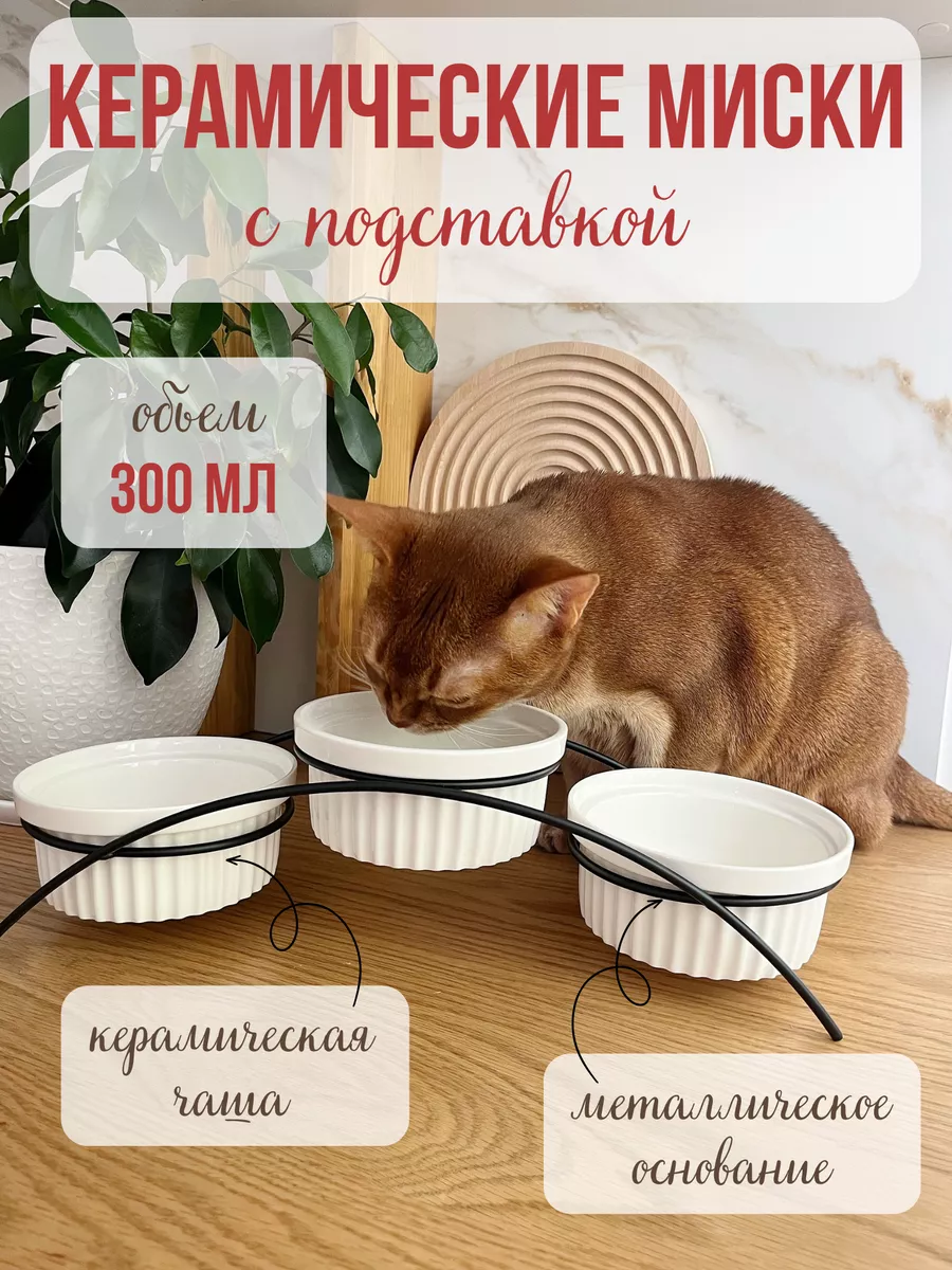 Миска керамическая Qalla тройная на подставке - фото 1