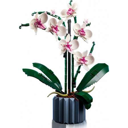 Конструктор LEGO Botanicals Orchid блочный
