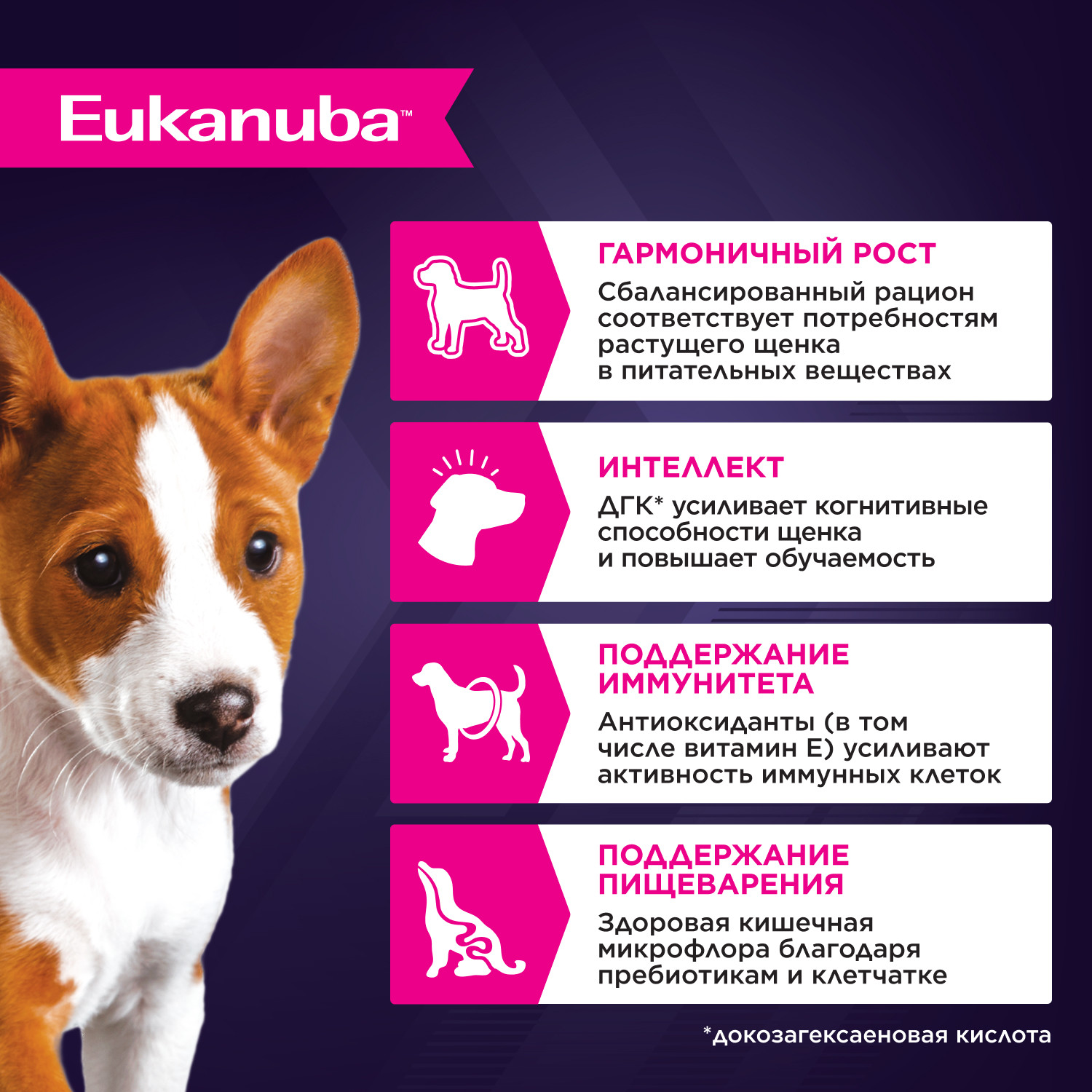 Корм для щенков Eukanuba 85г с курицей в соусе пауч - фото 2