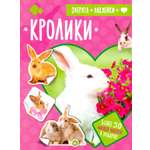 Книга Лабиринт Зверята + наклейки Кролики
