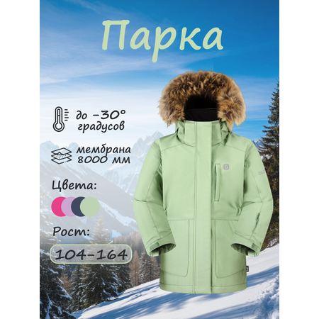 Парка GUSTI