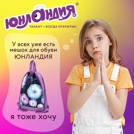 Мешок для обуви Юнландия