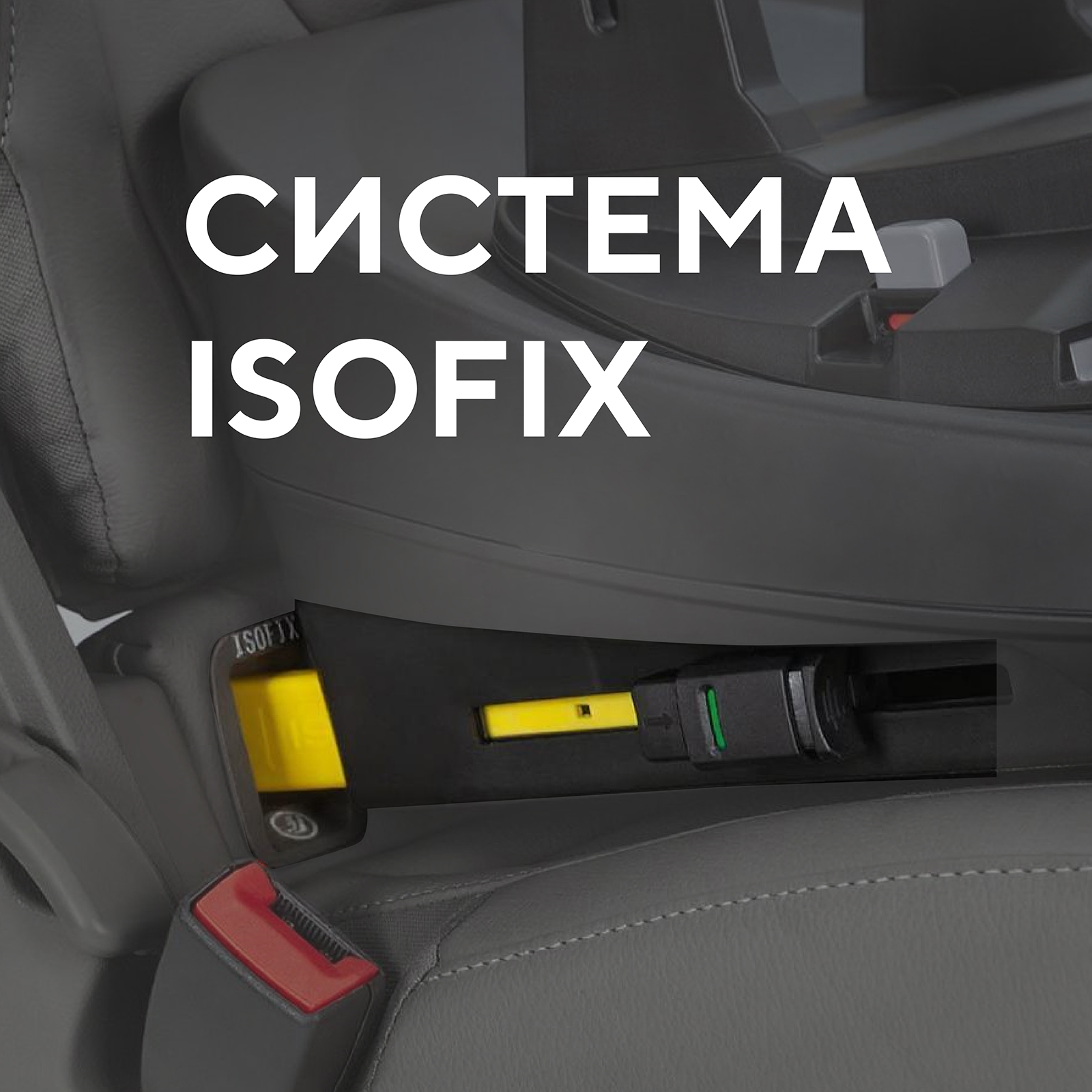 База Isofix для детских автокресел Rant Evomax - фото 4