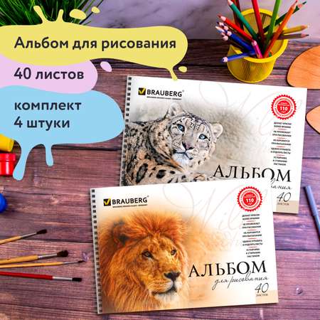 Альбом Brauberg А4 40 лист. 4 шт.