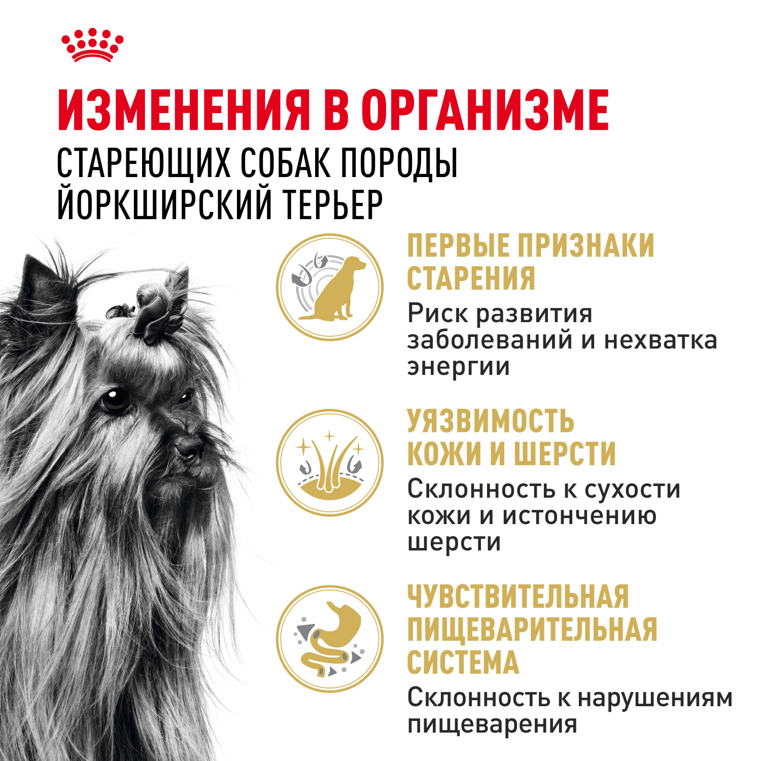 Корм для собак ROYAL CANIN породы йоркширский терьер 8+ пожилые 1.5кг - фото 2