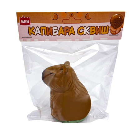 Сквиш .