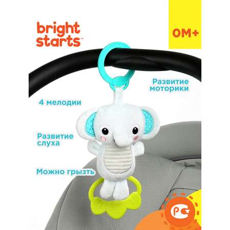 Игрушка Bright Starts подвеска