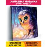 Алмазная мозаика Art on Canvas Совушка в ассортименте