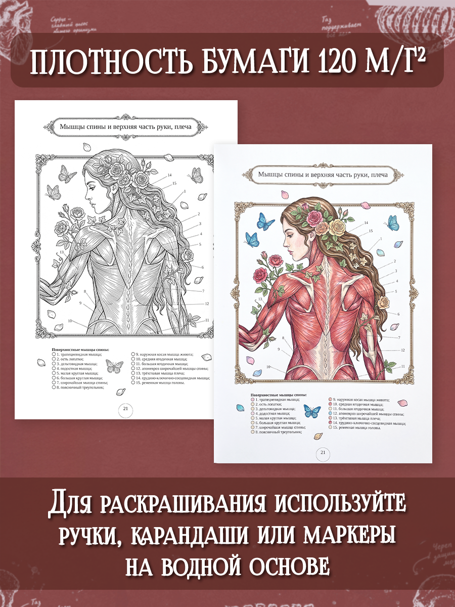 Раскраска-атлас Проф-Пресс Анатомия человека - фото 5