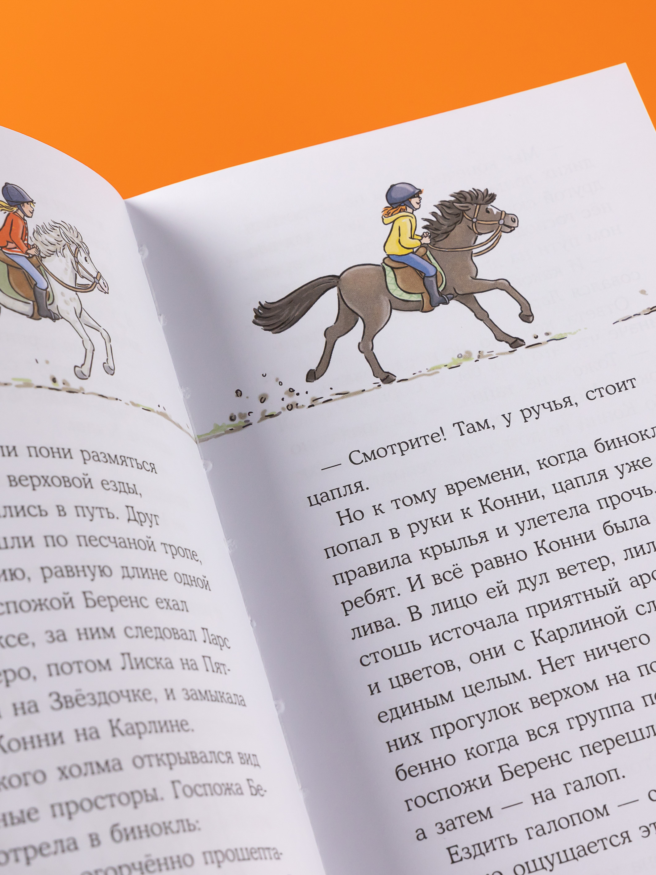 Книга Альпина. Дети Конни и спасение диких лошадей - фото 11