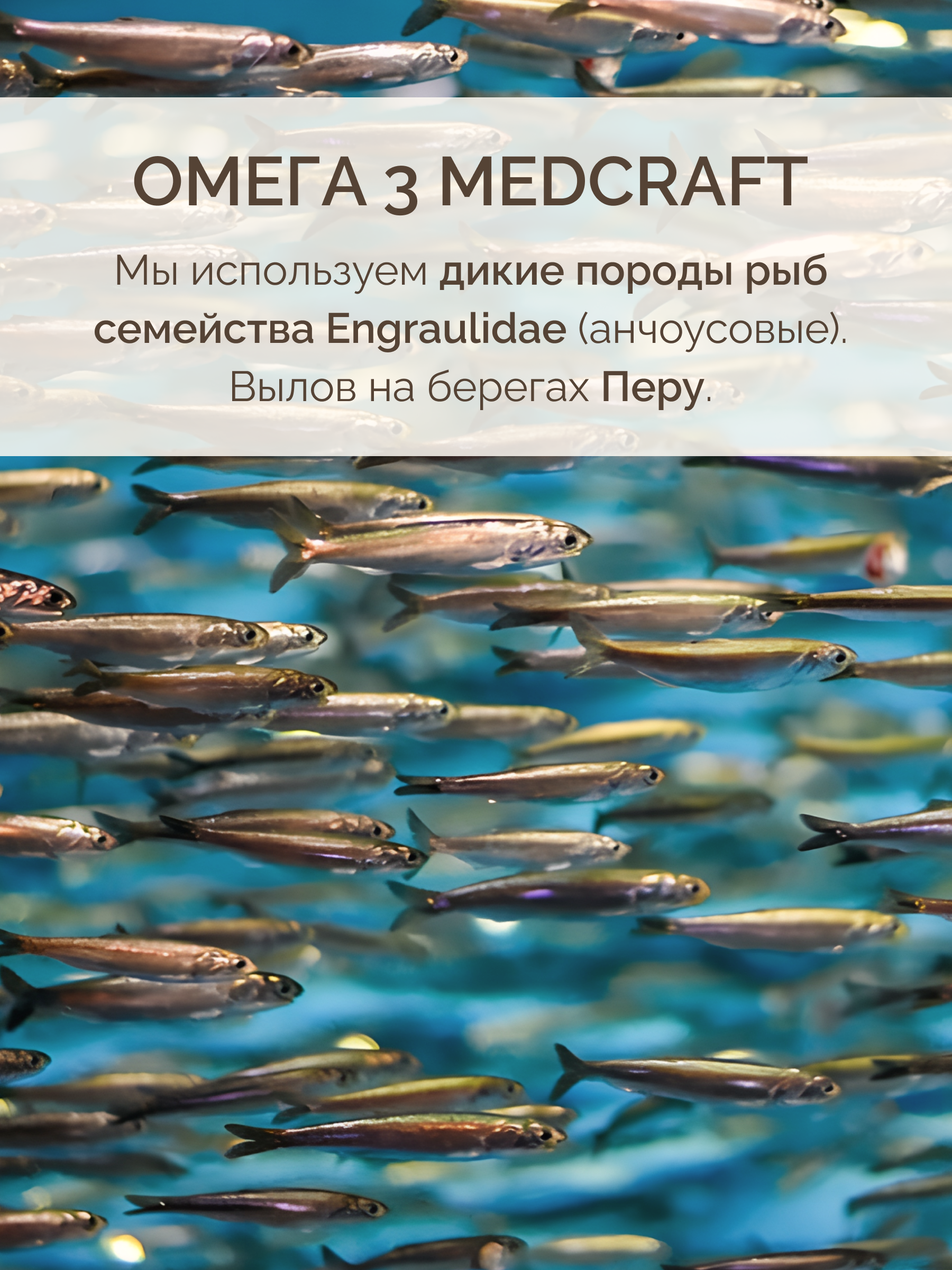 Комплекс для защиты сердца и сосудов MedCraft Курс на месяц - фото 13