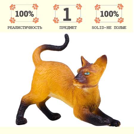 Игровой набор Masai Mara Кошка