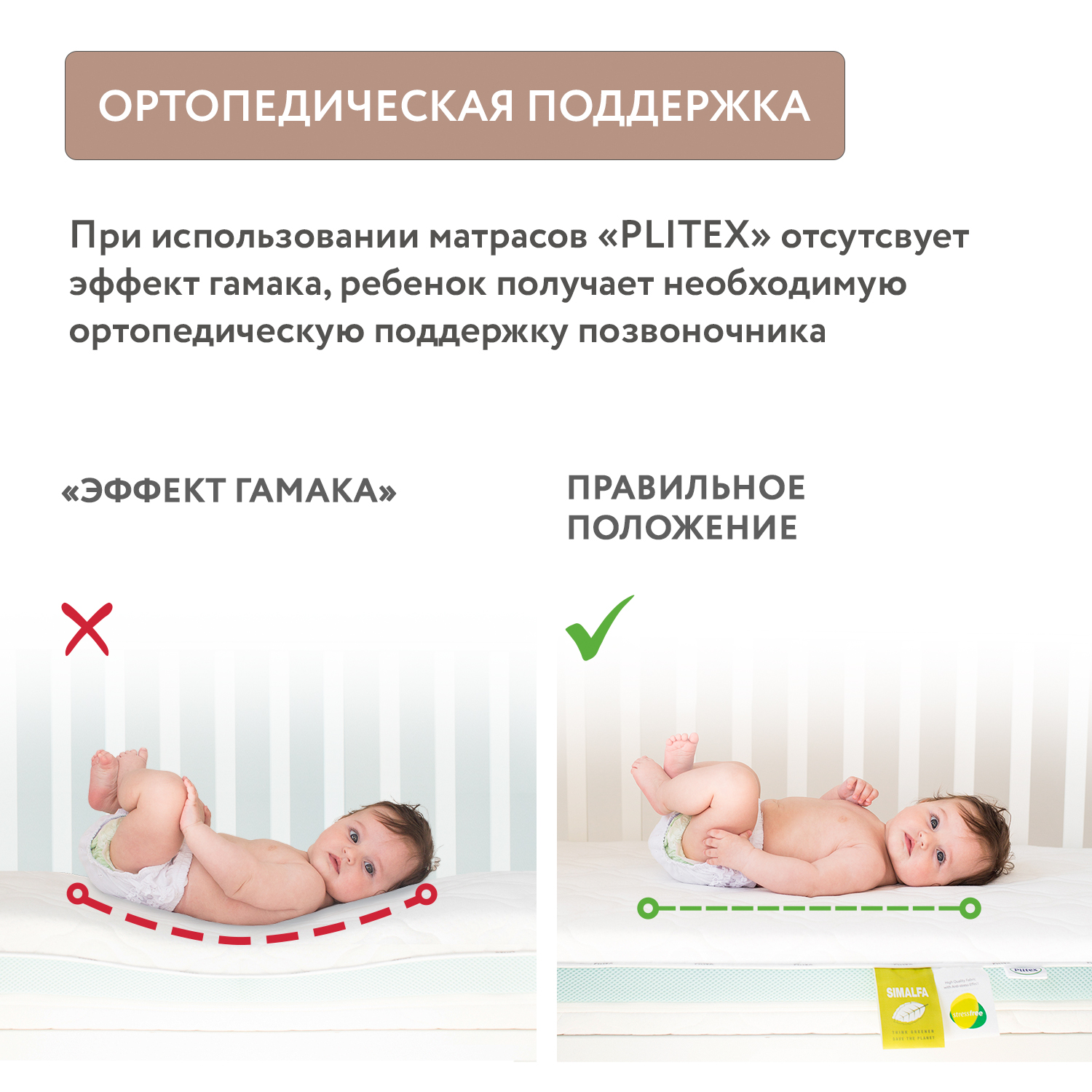Матрас Plitex Orto Sleep 160х80 - фото 8