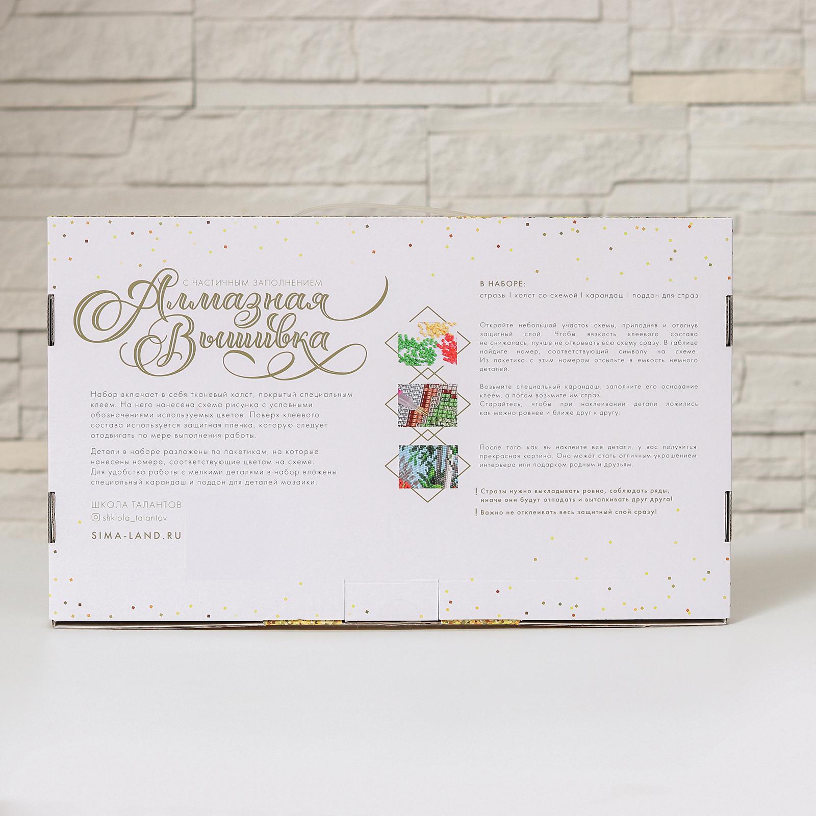 Алмазная мозаика Школа Талантов - фото 4