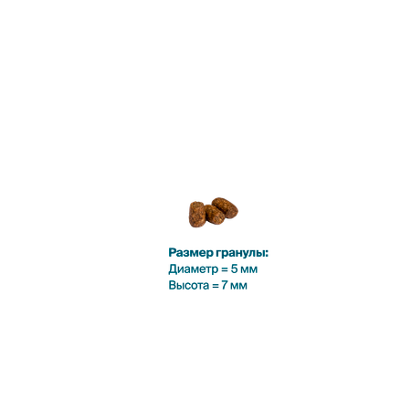 Корм сухой Profifeed Для котят 10кг