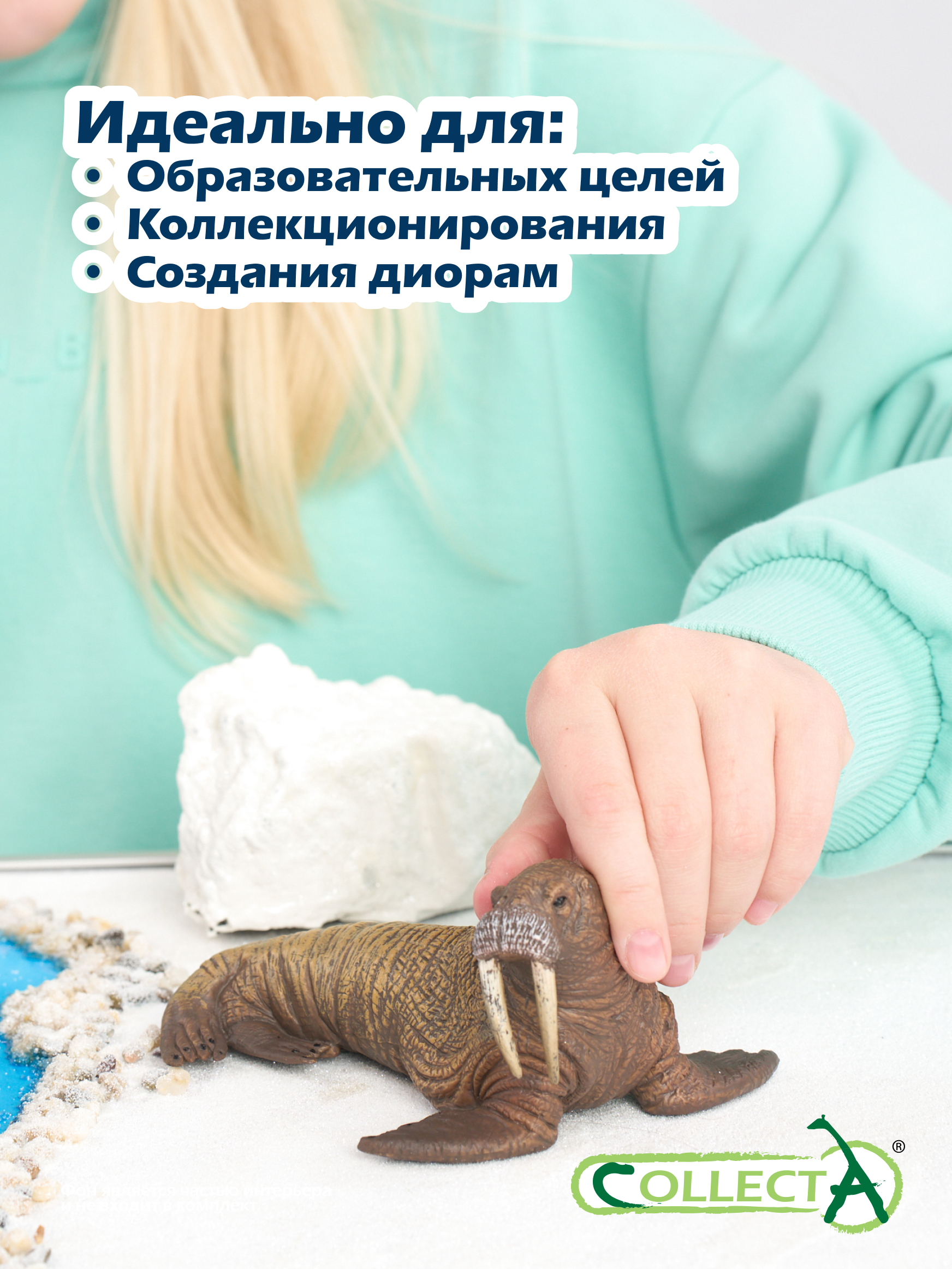 Фигурка Collecta Морж - фото 6