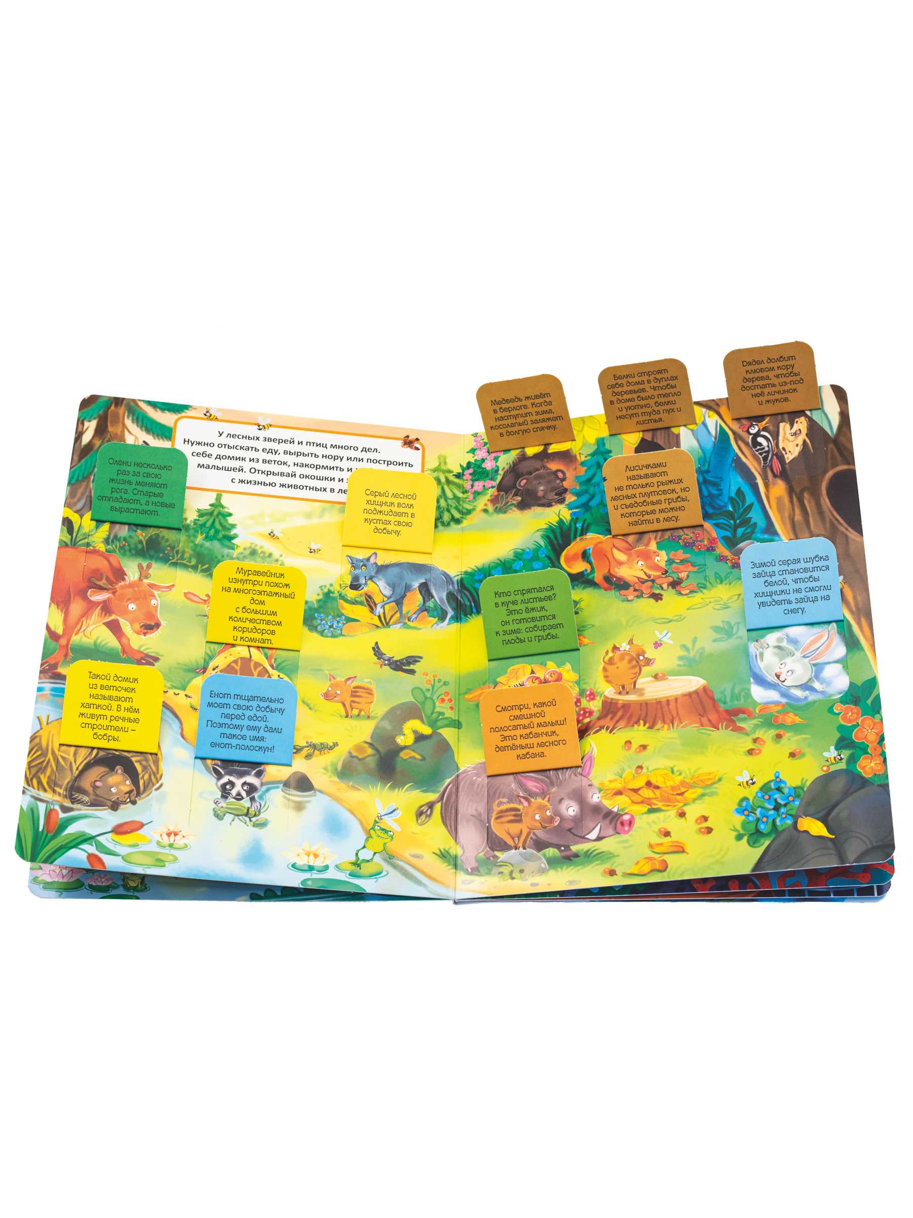 Книжка BimBiMon с окошками Эти забавные животные - фото 10