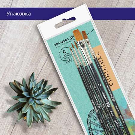 Кисть Brauberg 5 шт. (синтетика)