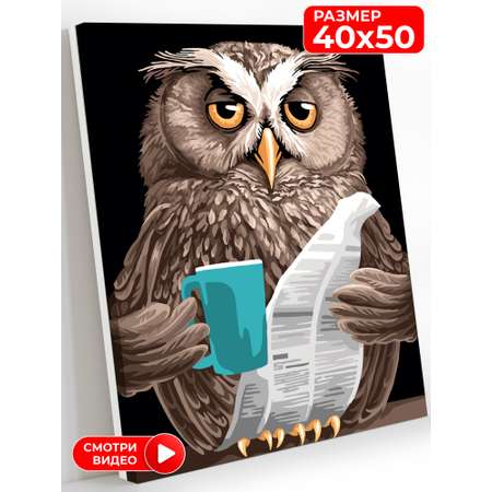 Картина по номерам Art on Canvas Утро совы в ассортименте