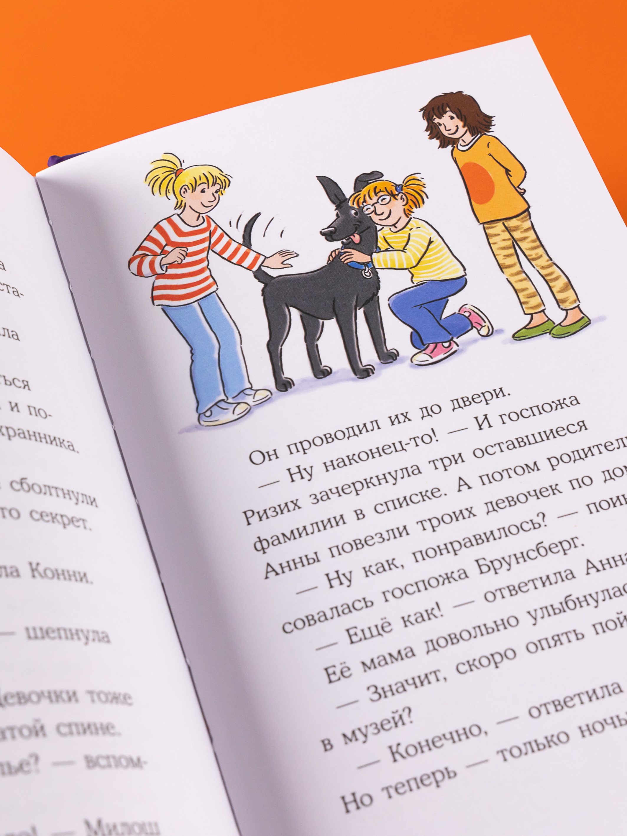 Книга Альпина. Дети Конни и ночь в музее - фото 6