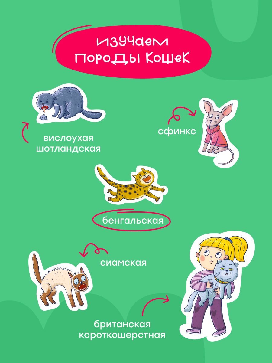 Пазл Харди Гарди классический - фото 11