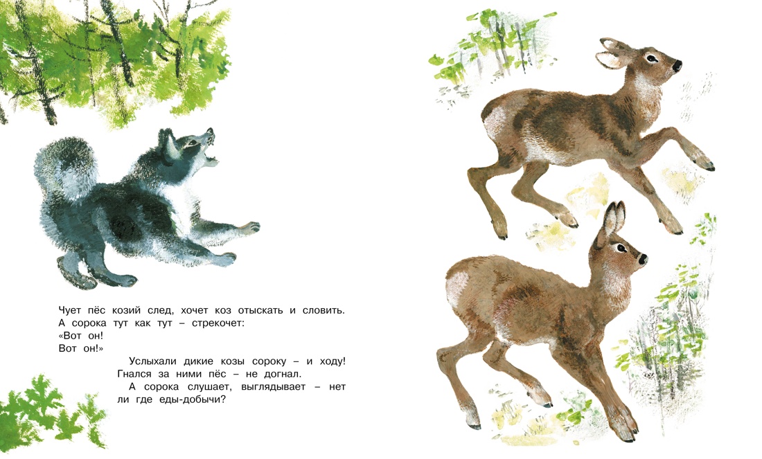 Книга Махаон Друзья. - фото 9