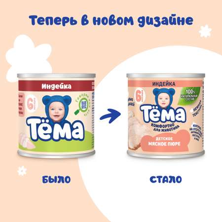 Пюре Тёма Индейка с 6 мес 90 г