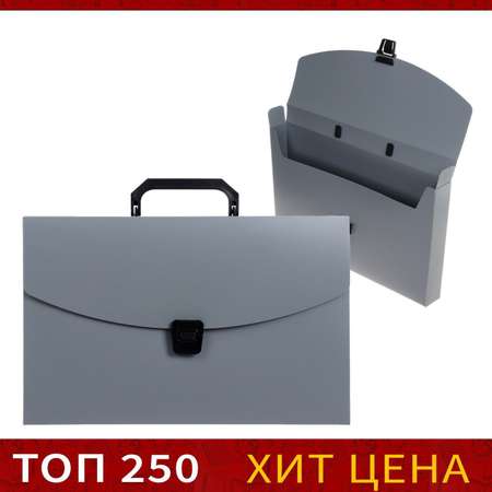 Папка для тетрадей Calligrata А4