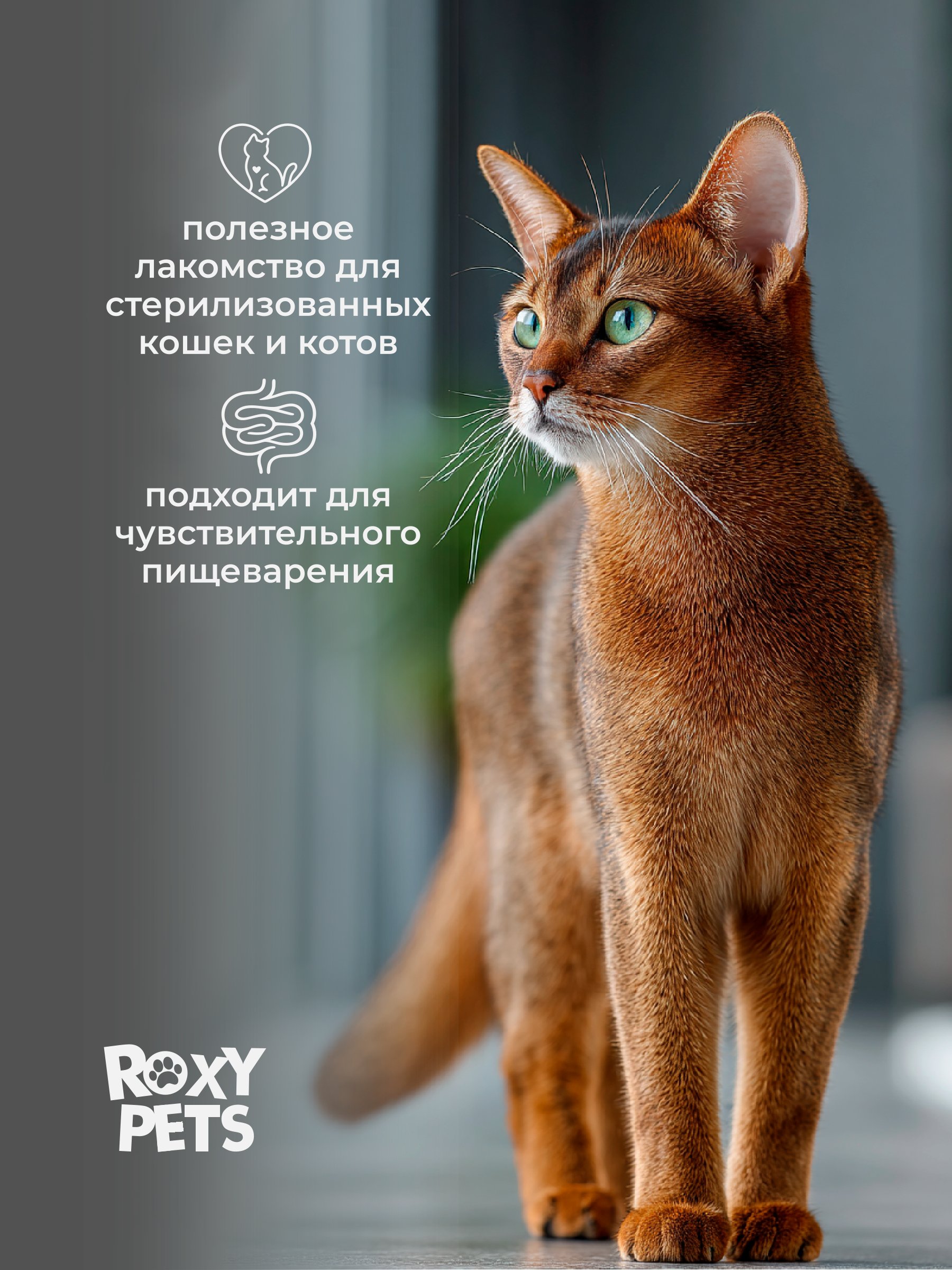 Крем-суп для кошек и котят всех пород ROXY PETS из филе курицы карельского лосося и кошачьей мяты - фото 2