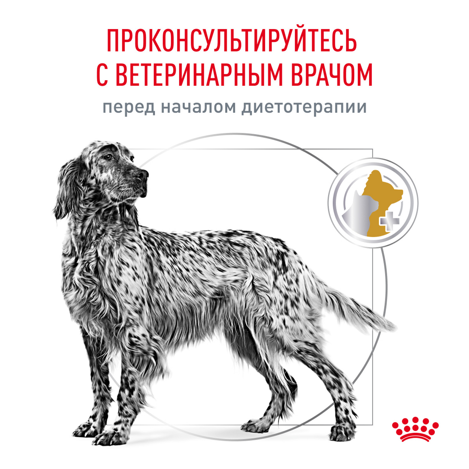 Корм для собак ROYAL CANIN Veterinary Diet Urinary S/O LP 18 при заболеваниях дистального отдела мочевыделительной системы 13кг - фото 8