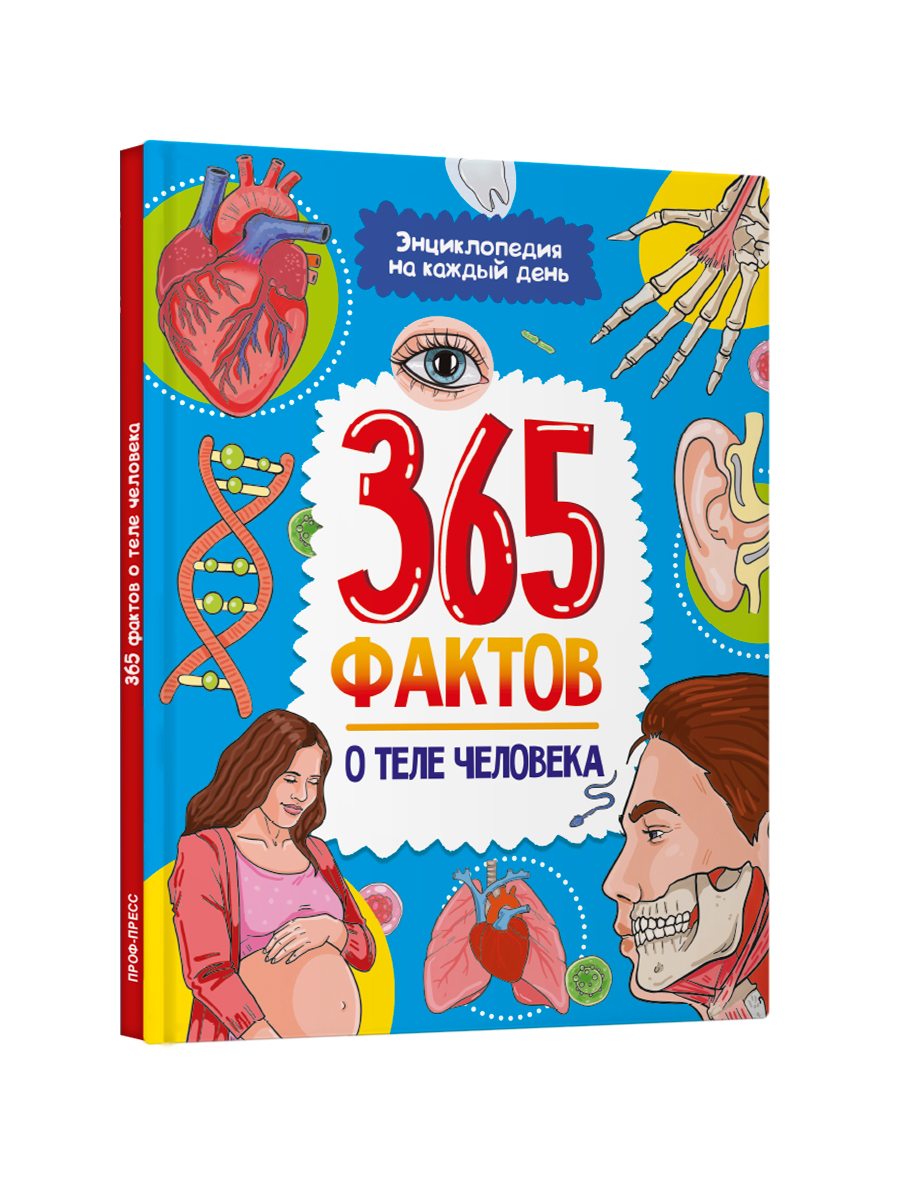 Энциклопедия детская Проф-Пресс 365 фактов о теле человека - фото 10