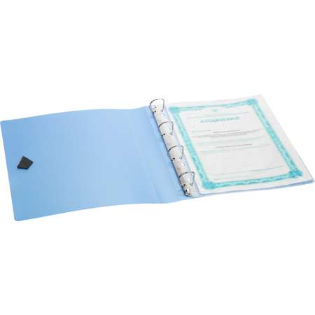 Папка на кольцах Attache Selection А4